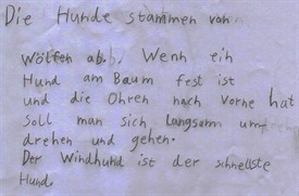 Hundeschule 2010035.jpg